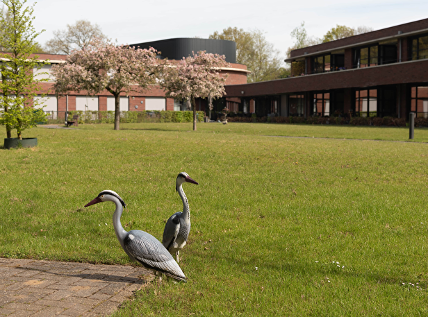 Helpende (Plus) in Lochem